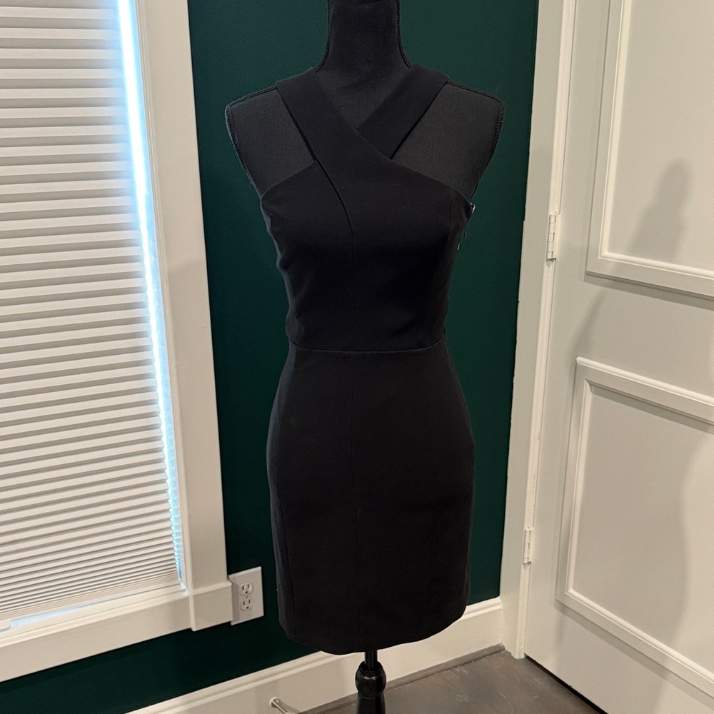 Elizabeth & James Cocktail Dress